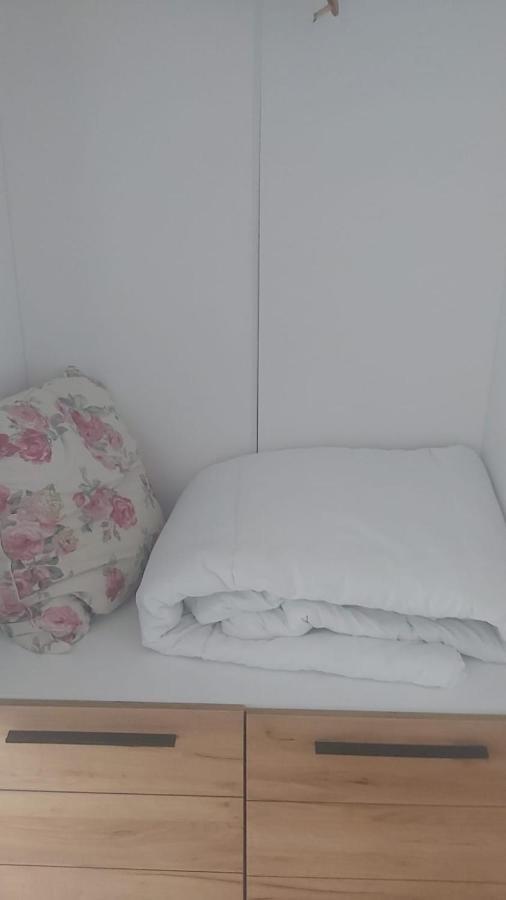 公寓 Coresi, 2 Camere, Sleeps 6 Large Private Garden Pets Welcome Braşov