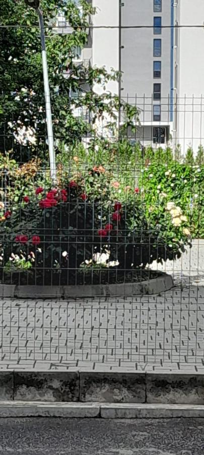 Apartament Coresi, 2 Camere, Sleeps 6 Large Private Garden Pets Welcome