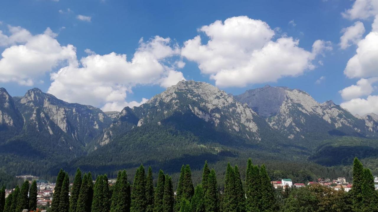Coresi, 2 Camere, Sleeps 6 Large Private Garden Pets Welcome Apartament Brașov